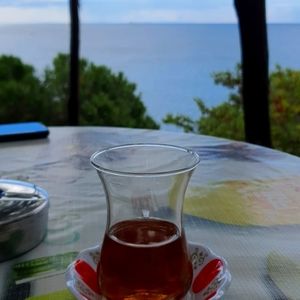 Meet your Posher, Rose